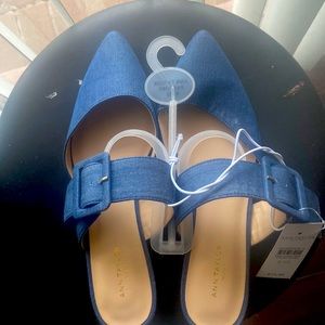 Ann Taylor blues shoes🍄
